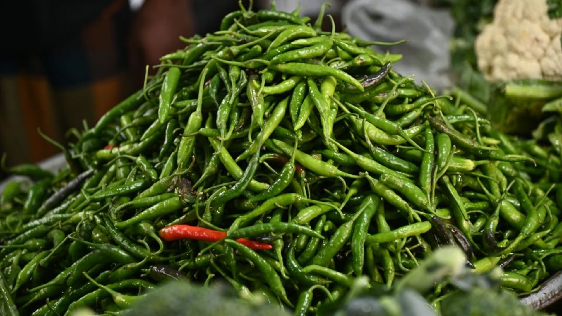 ১৫ দিনের ব্যবধানে কাঁচা মরিচের দাম কমল ২৫০ টাকা